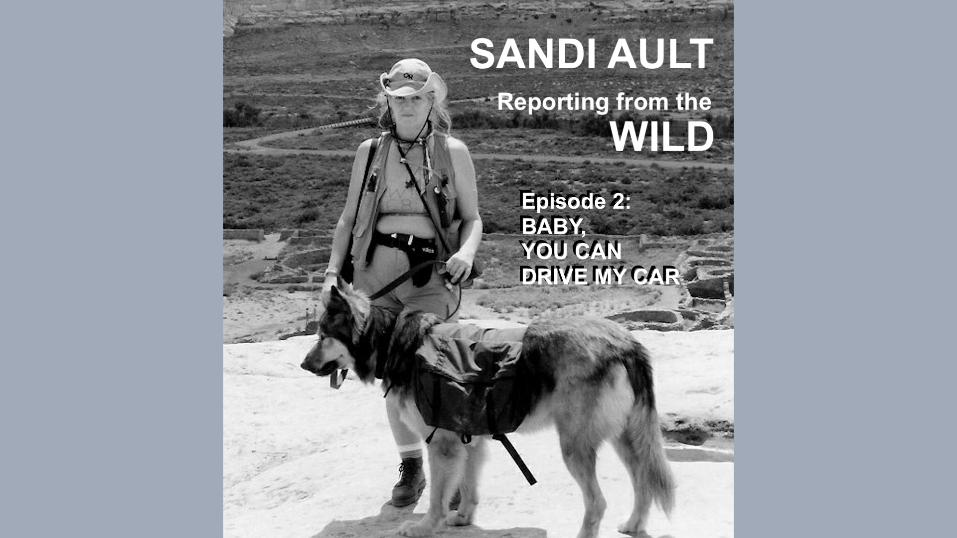 Sandi Ault Blog: Reporting from the Wild: Baby You Can Drive My Car